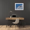 thumbnail image 3 of Galloimages Online 14x12 White Modern Wood Framed Museum Art Print Titled - Sandhill Crane 3 Oil Paint, 3 of 4
