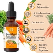 Carrot Seed Essential Oil (Daucus Carota) – Pure Steam Distilled Aromatherapy Oil by Relaxcation