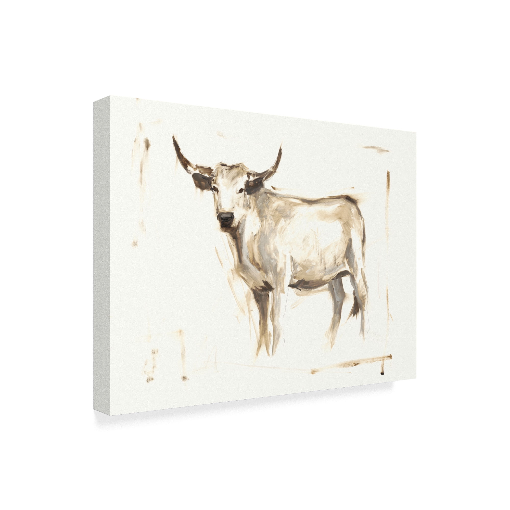 Trademark Fine Art 'White Cattle II' Canvas Art by Ethan Harper
