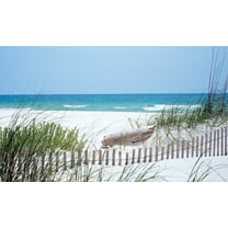 Biggies-Wall Murals-S Carolina Coast-54