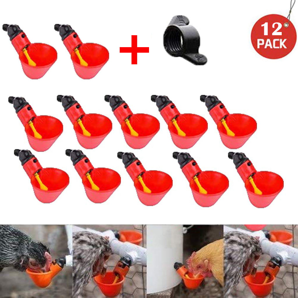4 Pcs Automatic Cups Chicken Waterer Poultry Bird Auto Feed Water PVC New 