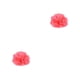 thumbnail image 1 of Yuarrent Amuletos para perros Flor Aspecto hermoso Pajarita para gatos Suministros para mascotas Decoración para el cuello para adornos rosa rosa fluorescente 2Conjunto, 1 of 6