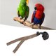 thumbnail image 1 of Soporte Para Percha De Rama De Pájaro, Molido De Garra De Percha De Madera Ajustable Interactivo Para Prevenir Resbalones Entrenamiento Con Ventosa Para Cacatúas Para Pájaros, 1 of 7