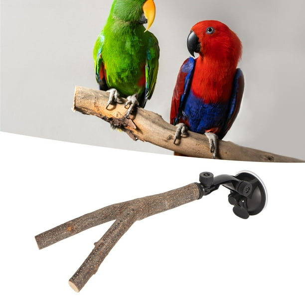 Soporte Para Percha De Rama De Pájaro, Molido De Garra De Percha De Madera Ajustable Interactivo Para Prevenir Resbalones Entrenamiento Con Ventosa Para Cacatúas Para Pájaros