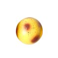 thumbnail image 2 of Potato Slow Rising Soft Stress Relief Toy, Reusable Moldable Fidget Squeeze Ball, Realistic Simulation Potato Shaped Soft Toy for Adults Kids Anxiety Relief, 2 of 6