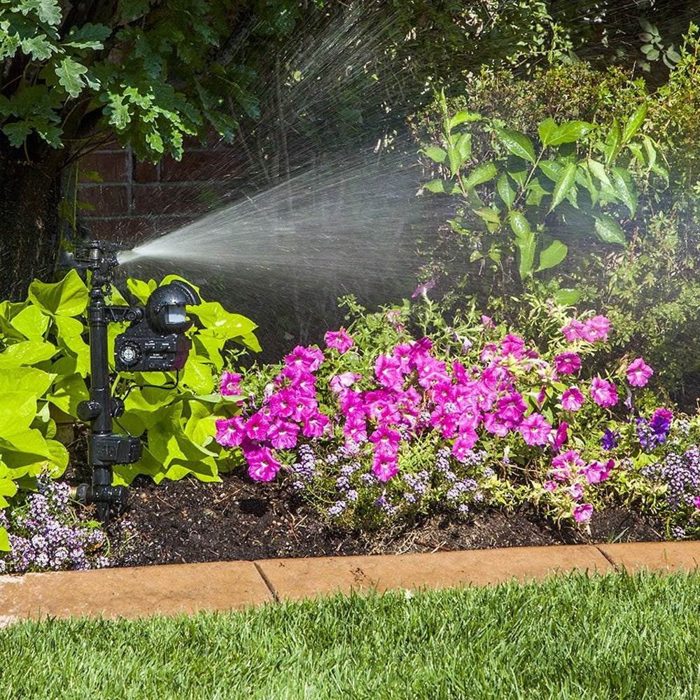 Orbit Yard Enforcer Motion Activated, Mounted Sensor Impact Sprinkler Head | 62100