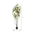 thumbnail image 3 of Vickerman 6' Artificial Green Potted Cotinus Coggygria Tree., 3 of 8