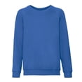 thumbnail image 1 of Fruit of the Loom Chandail Raglan Classique pour Garçons/filles, 1 of 3
