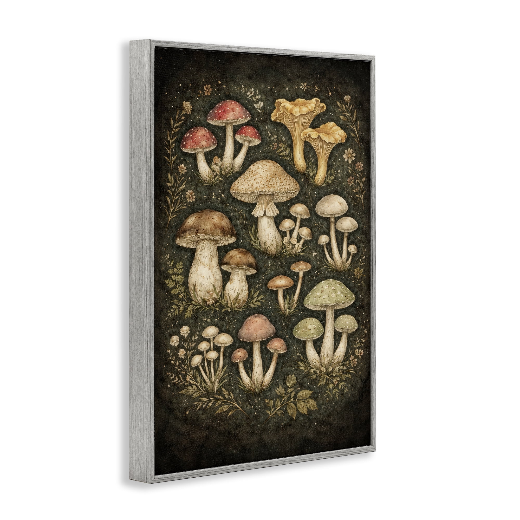 Stupell Industries Organic Sprouting Mushrooms Gray Framed Giclee Art, design by Tom Crehan