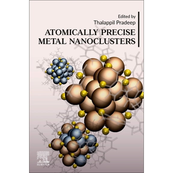 Atomically Precise Metal Nanoclusters, (Paperback)