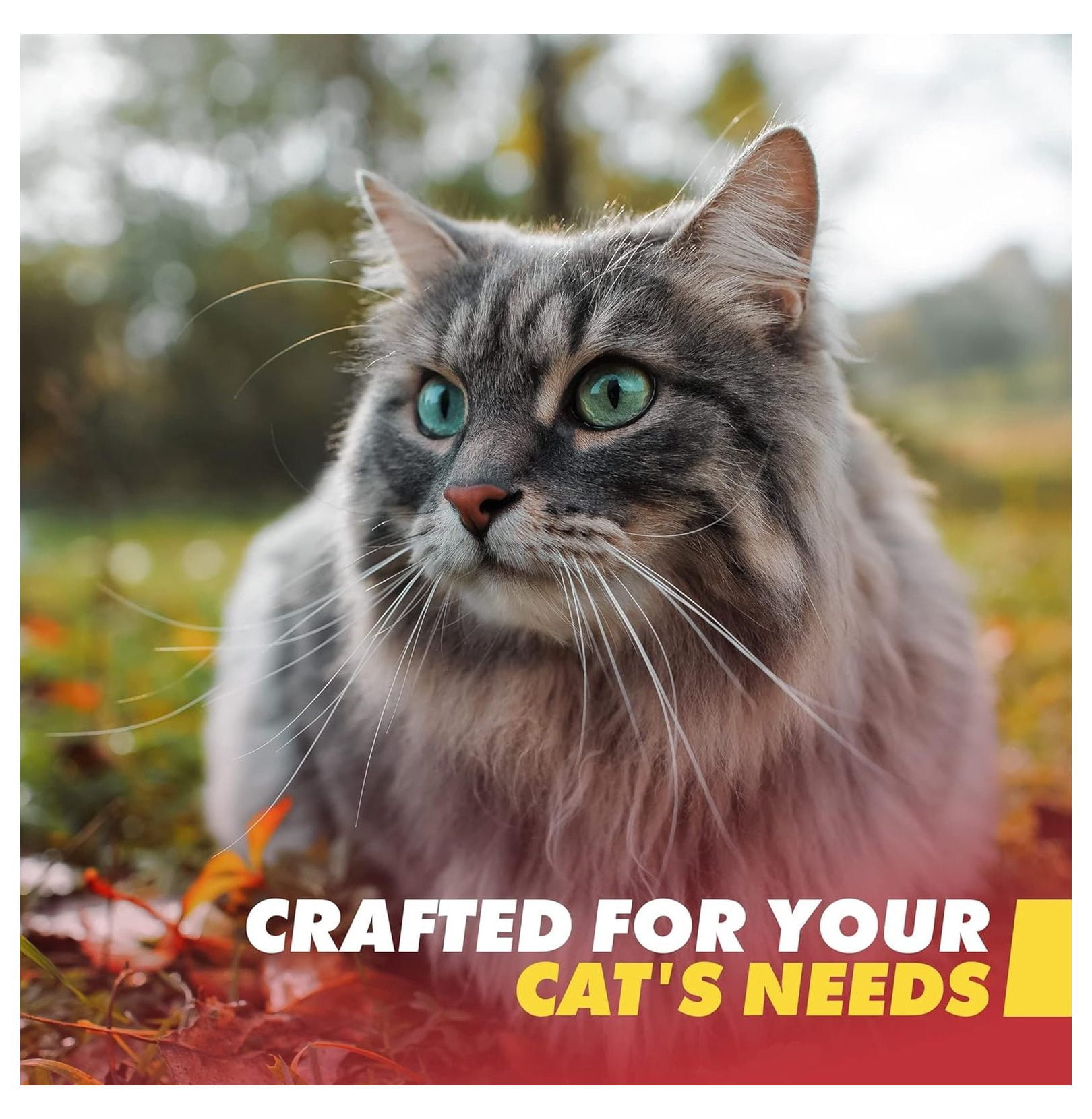 - Cat Emergency Survival Kit - Bug Out, Emergency, Travel Kits, First Aid - Deluxe