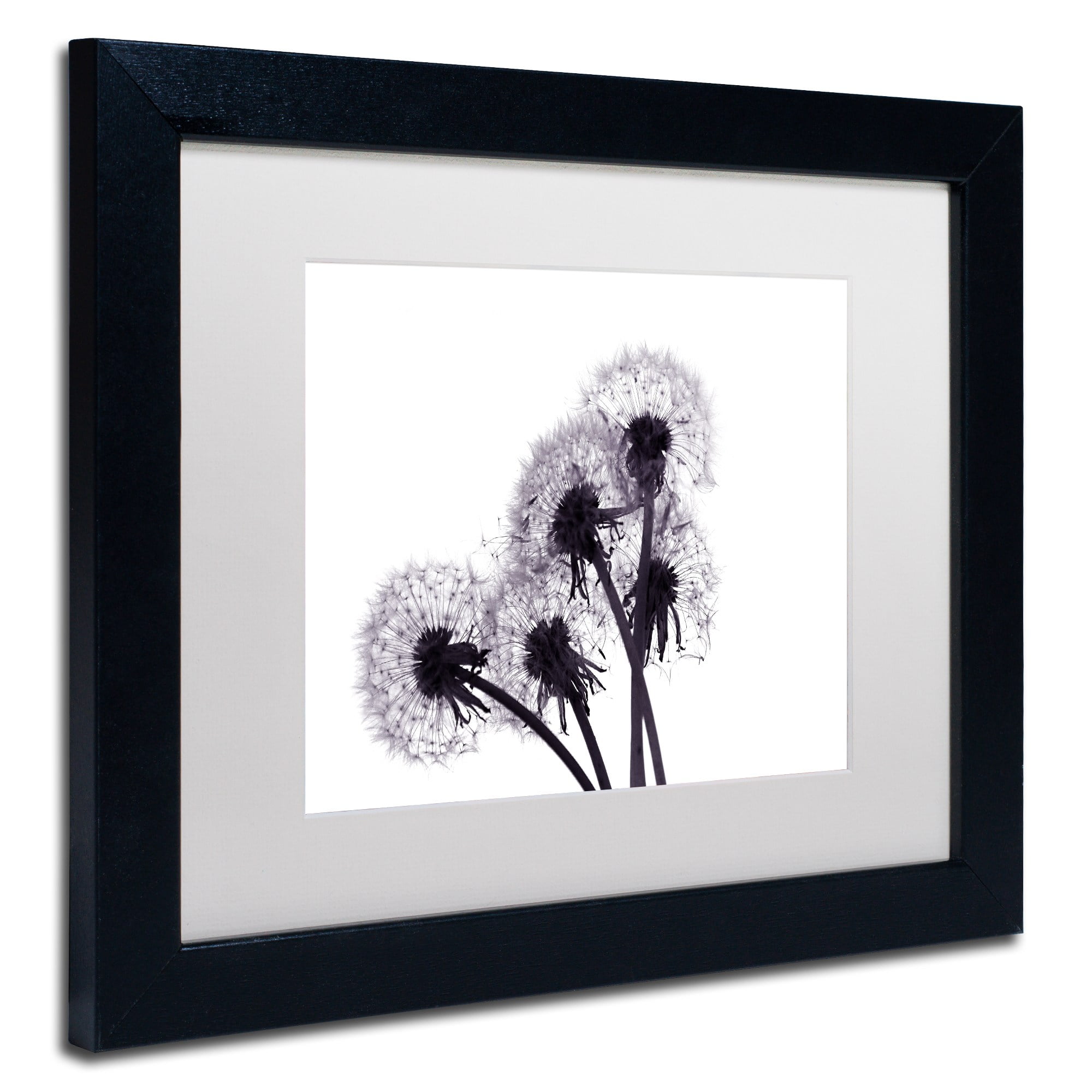 Trademark Fine Art "Bunch of Wishes" Canvas Art by Beata Czyzowska Young, White Matte, Black Frame