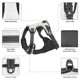 thumbnail image 5 of ZNDUO Vintage Paisley Abstract Pattern Dog Harness, Adjustable Reflective Pet Harness with Dog Leash, 5 of 8