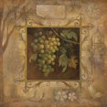 thumbnail image 3 of Vollherbst-Lane, Elaine 12x12 Black Modern Framed Museum Art Print Titled - Uva Bella Verde, 3 of 5