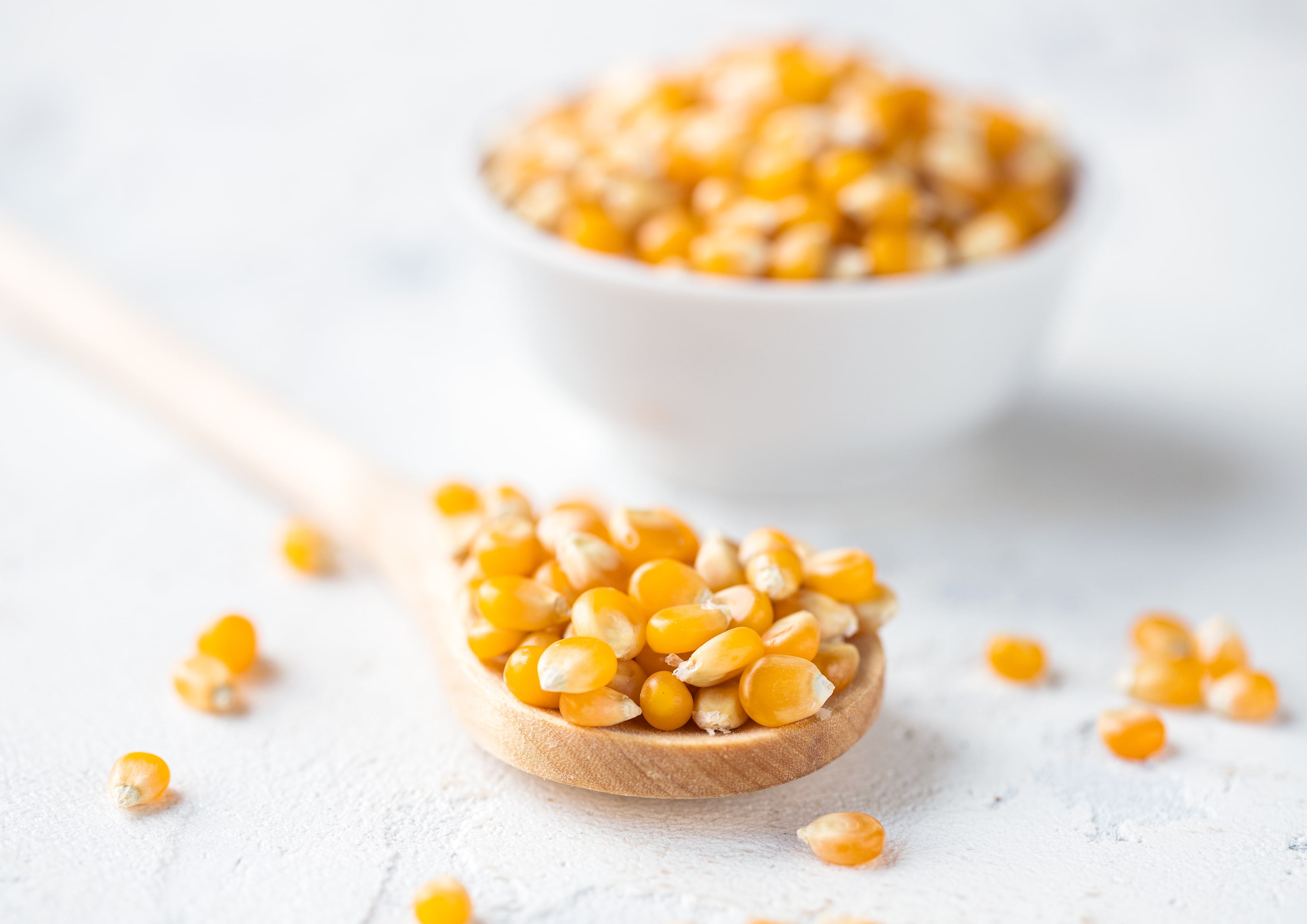 Organic Yellow Popcorn, 20 Pounds — Non-GMO, Vegan, Raw — by Food to Live