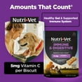 thumbnail image 4 of Nutri-Vet Immune and Digestive Health Biscuits for Dogs - 16 oz, 4 of 8