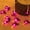 Purple, variant on FeiFu 3 AA Battery-Powered Bulb Light String Outdoor Ambience Light Courtyard Holiday Light String Weather-Proof Easy to Install for Outdoor Garden or Patio Decor
