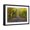 Black Frame, variant on Art.com Central Park. Image of the Mall Area in Central Park, New York City, USA at Autumn. Photographic Print by Rudy Balasko, 18" x 12"
