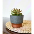 thumbnail image 2 of The HC Companies 3in Sprite Planter Pot, Faux Concrete Copper (2 Pack), 2 of 12