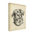 thumbnail image 2 of Trademark Fine Art 'Breed Studies VIII' Canvas Art by Ethan Harper, 2 of 3