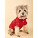 thumbnail image 1 of Solid Color Pet Polo Shirt, 1 of 5