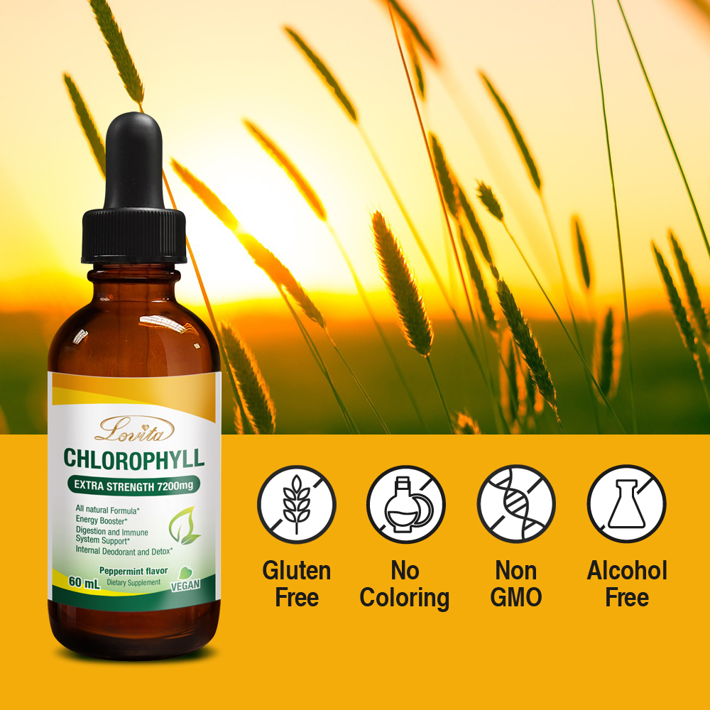 Buy Lovita Liquid Chlorophyll 7200mg, All Natural Formula of
