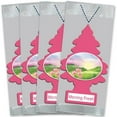 thumbnail image 2 of Little Tree Air Freshener Assorted Scents 12 Pack, 2 of 3