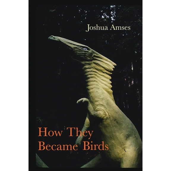 How They Became Birds, (Paperback)