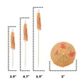 thumbnail image 4 of BambooMN 5.9" Colorful Umbrella Parasol Cocktail Picks for Drinks and Food, Decorative Toothpicks for Hotel, Restaurant, Hawaiian Party, 100 Pieces, 4 of 6