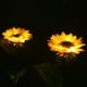 thumbnail image 5 of Luces de jardín solares LED Lámpara de girasol impermeable para exteriores | Cambio de color | Tallos ajustables | IP66 resistente a la intemperie | Batería Ni-MH de 1,2 V/600 mAh | 1 paquete, 5 of 9