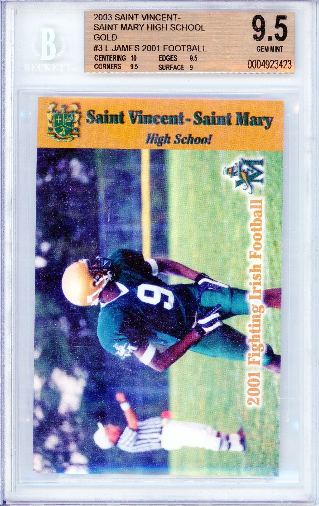lebron james st vincent st mary card