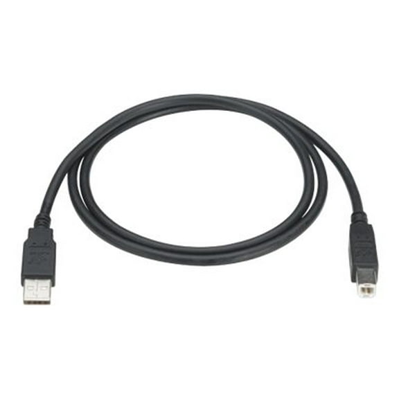 Black Box USB 2.0 A to B Cable (USB050013)