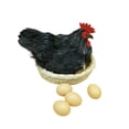 thumbnail image 1 of Almencla Simulation Hen Model Ornament Artificial Feather Prop for Kitchen Home Store black, 1 of 8