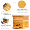 thumbnail image 3 of Kit de inicio de colmenas para abejas MayBee de 10 marcos con suministros, 3 of 7