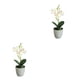 thumbnail image 3 of Plantas artificiales Inteprter no tóxicas hipoalergénicas en maceta falso Blanco 2Conjunto, 3 of 6