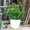 C, variant on 1 Pack Artificial Plants,Plastic Fake Plants Green Indoor Faux Green Grass Potted Plants Decorative Plant for House Office Outdoor Balcony Desk Bathroom Decoration