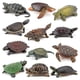 thumbnail image 5 of Figuras de acción de tortuga realistas, figuras de animales de simulación, modelos de vida oceánica, adornos, juguetes para niños, 5 of 6