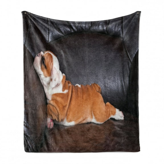 English Bulldog Soft Flannel Fleece Throw Blanket, Puppy Resting on a Sofa Funny Animal Photography Canine, Cozy Plush for Indoor and Outdoor Use, 50" x 70", Seal Brown White Brown, by Ambesonne