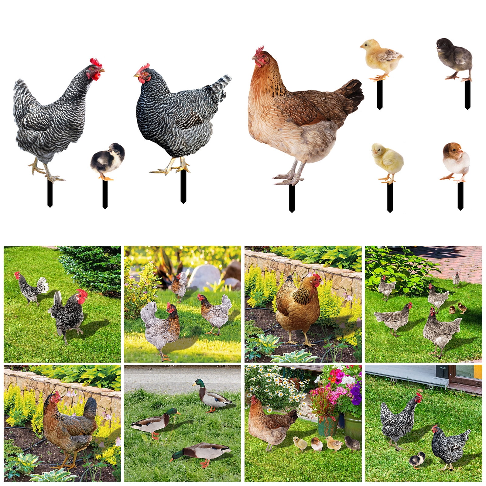 ZPAQI Chicken Yard Sign Decorative Garden Stakes Outdoor Sculpture Outdoor Ornaments