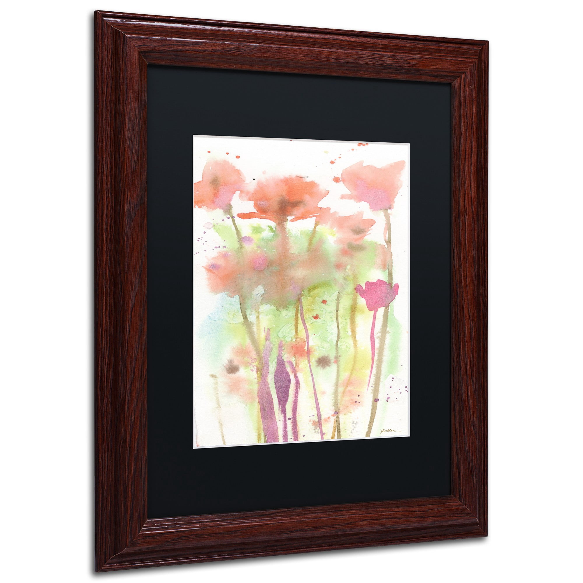 Trademark Fine Art "Red Poppy Impressions" Canvas Art by Sheila Golden Black Matte, Wood Frame