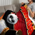 thumbnail image 3 of Kung Fu Panda anti-pilling, suave, ligera, esponjosa y acogedora de lujo para hogar y cocina – Perfecta para niños y adultos,50X70cm, 3 of 6