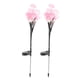 thumbnail image 5 of Luces Solares LED Para Exteriores, Luces Decorativas Para Jardín, Luces Solares Con Diseño De Fibra óptica, Crean Un Ambiente Cálido, Ideales Para Patios., 5 of 7