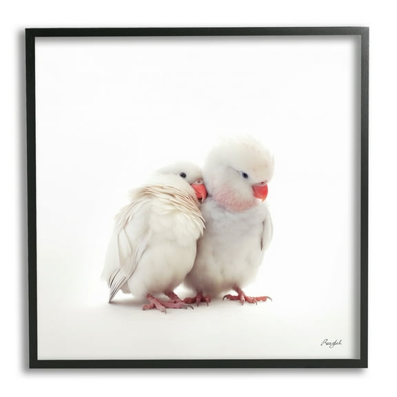 Stupell Industries White Love Birds Animals & Insects Painting Black Framed Art Print Wall Art, 12 x 12