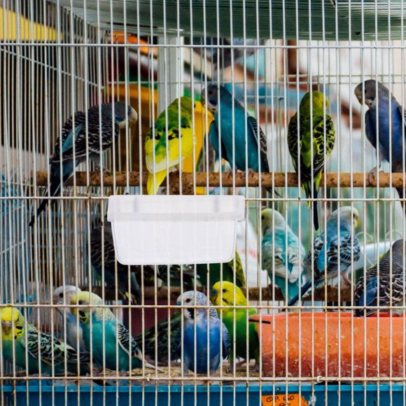 YSNOOWE Transparente Para Alimentación De Loros Comedero Colgante Para Jaula
