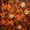 Fall Pattern, variant on FORMRS 1-Subject Spiral Notebook 8" x 5" College Ruled 60 Refillable Sheet A5 Hard Cover, 2 Pack, Ghost Design