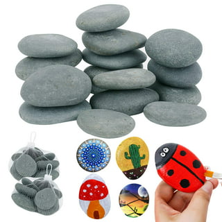 Ciieeo 60 Pcs Painted Stone Craft Rocks for Painting Flat River Rocks  Extra-Flat and Smooth River Rocks Flower Pot Pebbles Decorative Garden  Smooth