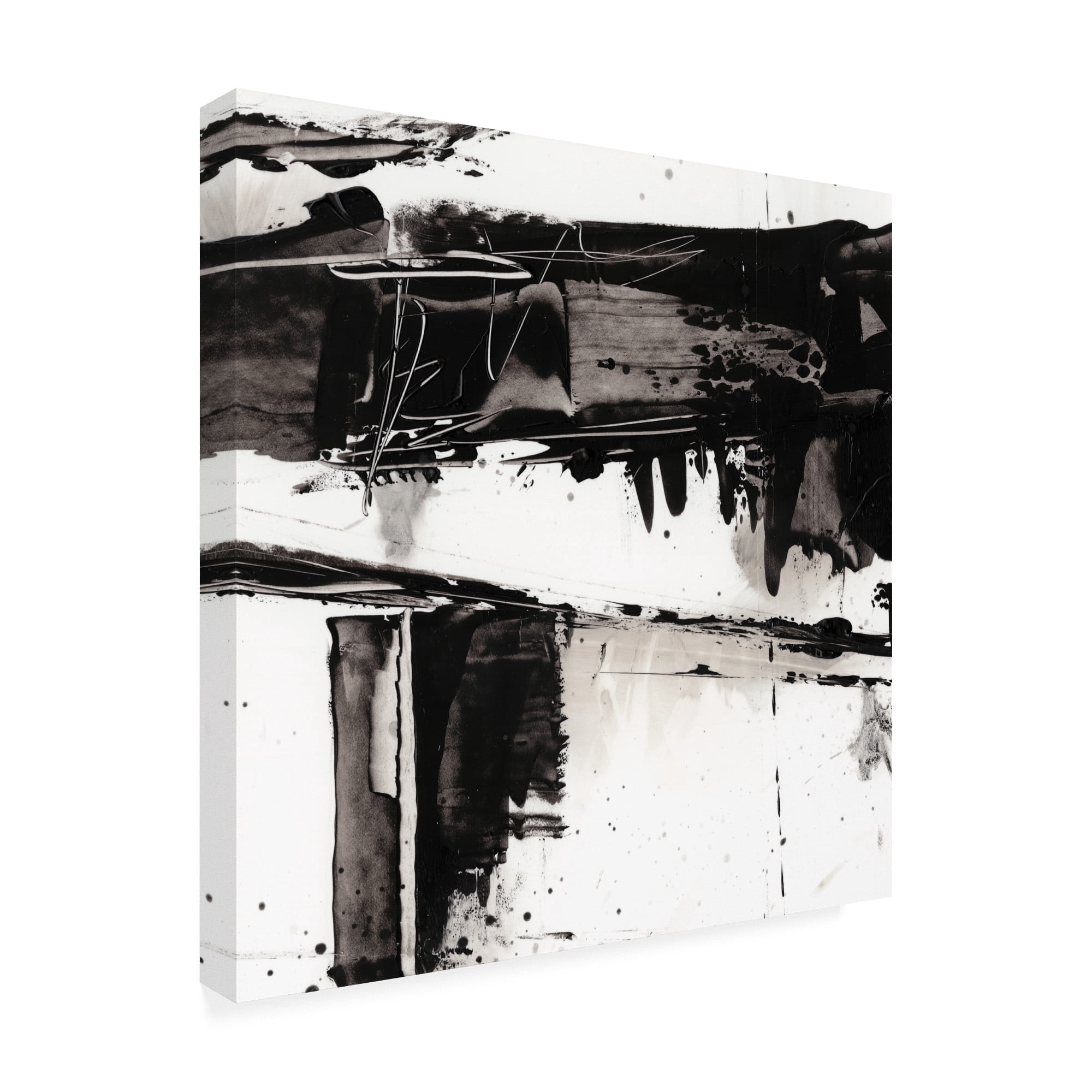 Trademark Fine Art 'Jagged Edge I' Canvas Art by Ethan Harper
