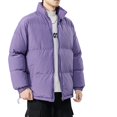 thumbnail image 4 of Chaqueta de invierno para hombre, de color liso, con cuello alto, holgada, térmica, tipo parka, 4 of 5