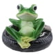 thumbnail image 1 of Ranas artesanales de resina DIY flotando en la decoración d de hojas de loto fuente ornamento jardín mi Sharpla Juguete de rana flotante, 1 of 8