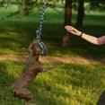 thumbnail image 2 of Spring Rod Pet Rope Toys, Dog Rope Toy, Easy Installation Large Dog For Big Dog Teeth, 2 of 8